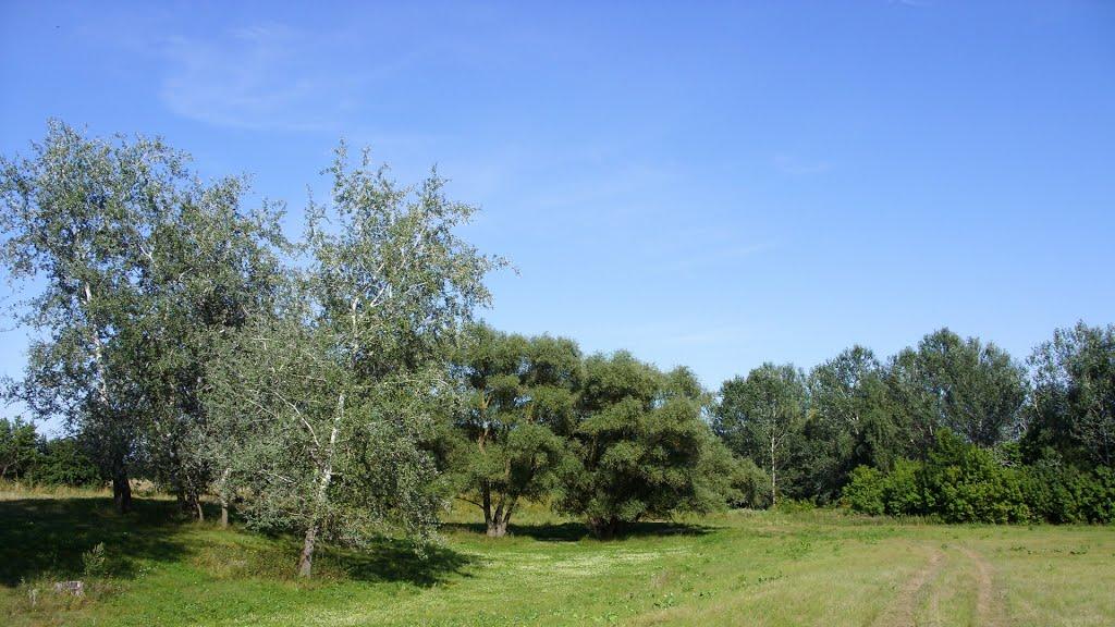 Приліпка з panoramio.com - Приліпка