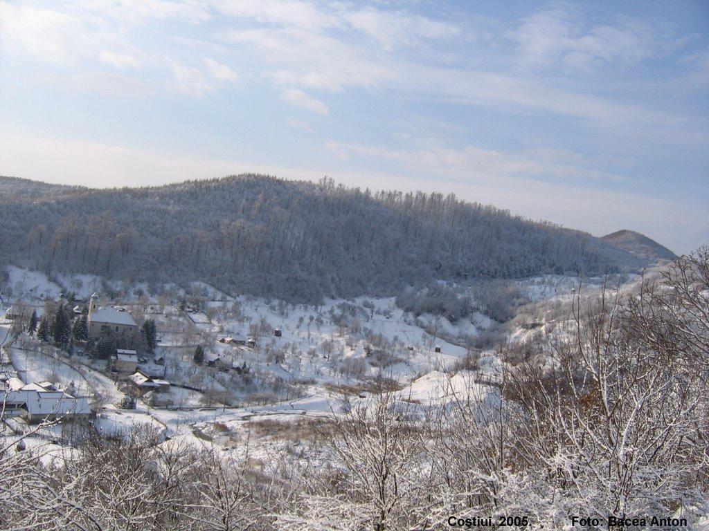 Великий Бичків з panoramio.com - Великий Бичків