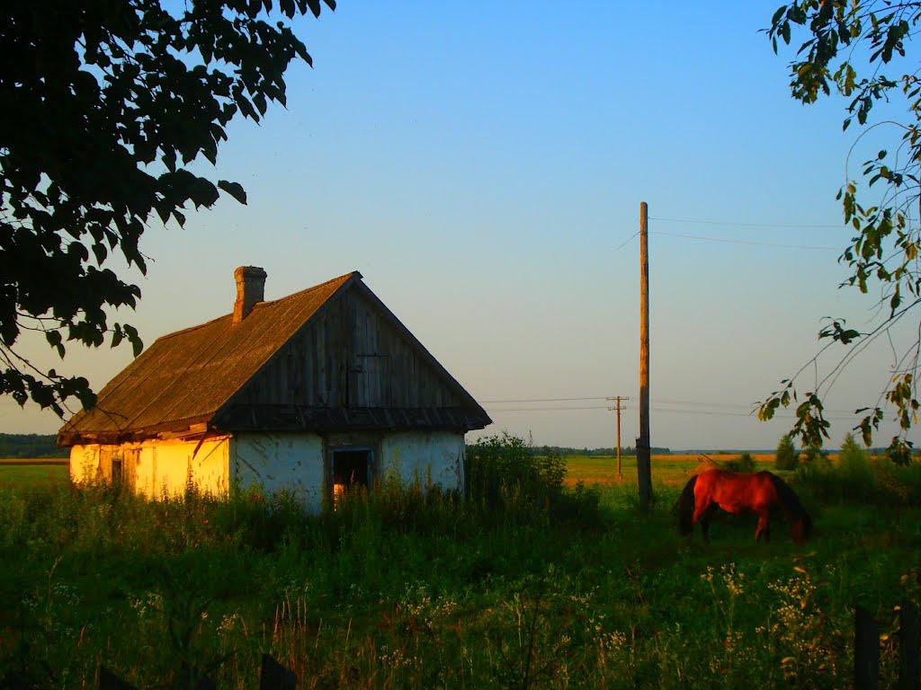 Рудня з panoramio.com - Рудня