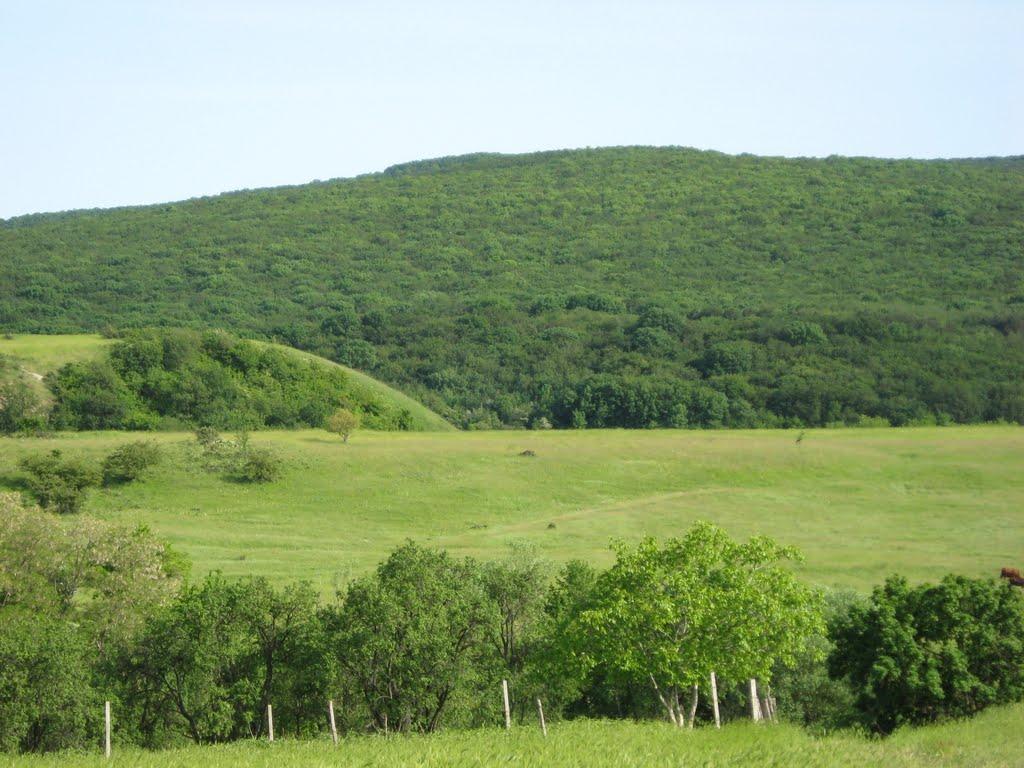 Старий Крим з panoramio.com - Старий Крим