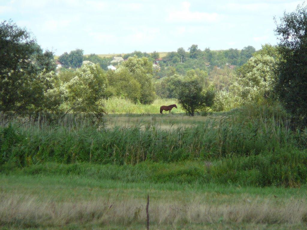 Климентове з panoramio.com - Климентово