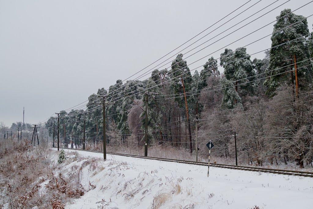 Брюховичі з panoramio.com - Брюховичі