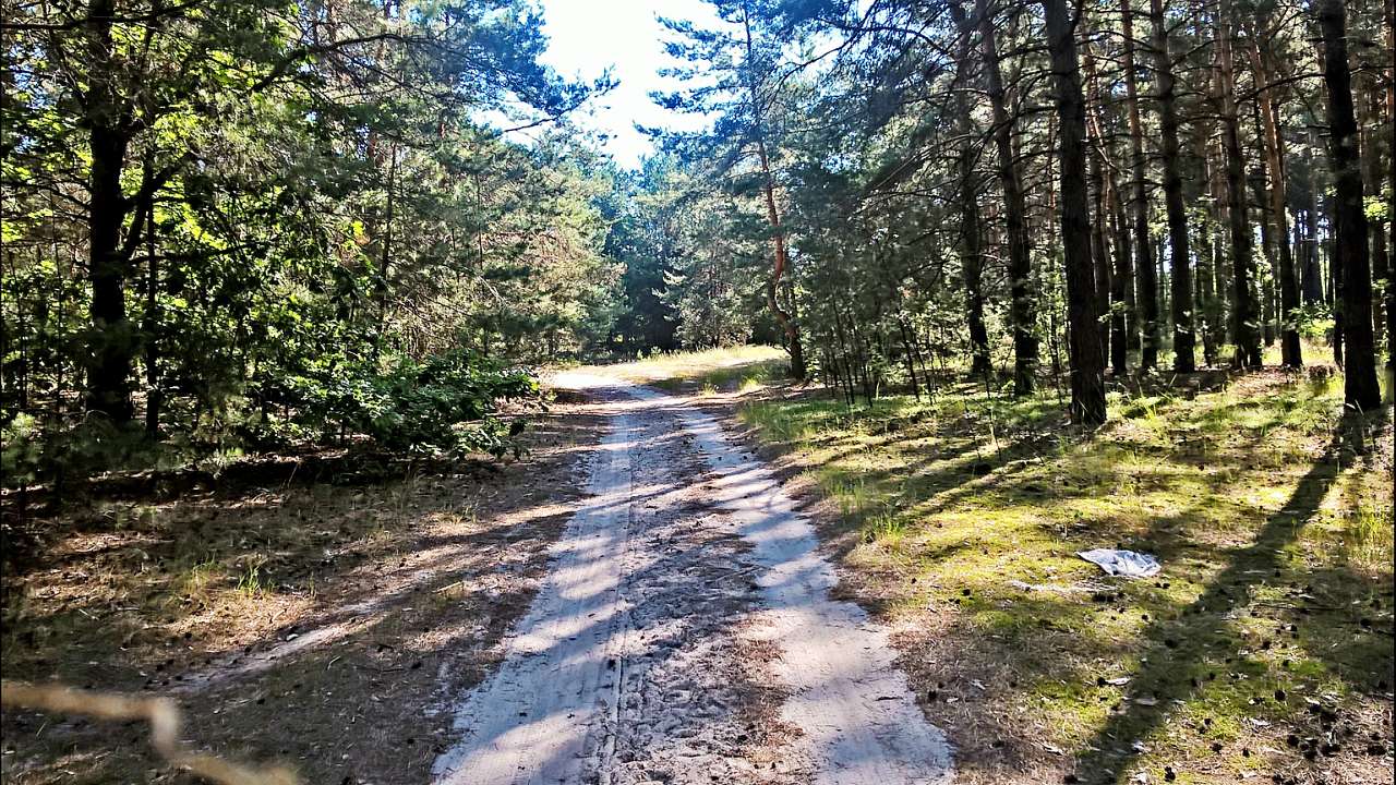 мій рідний край - Бондарівка