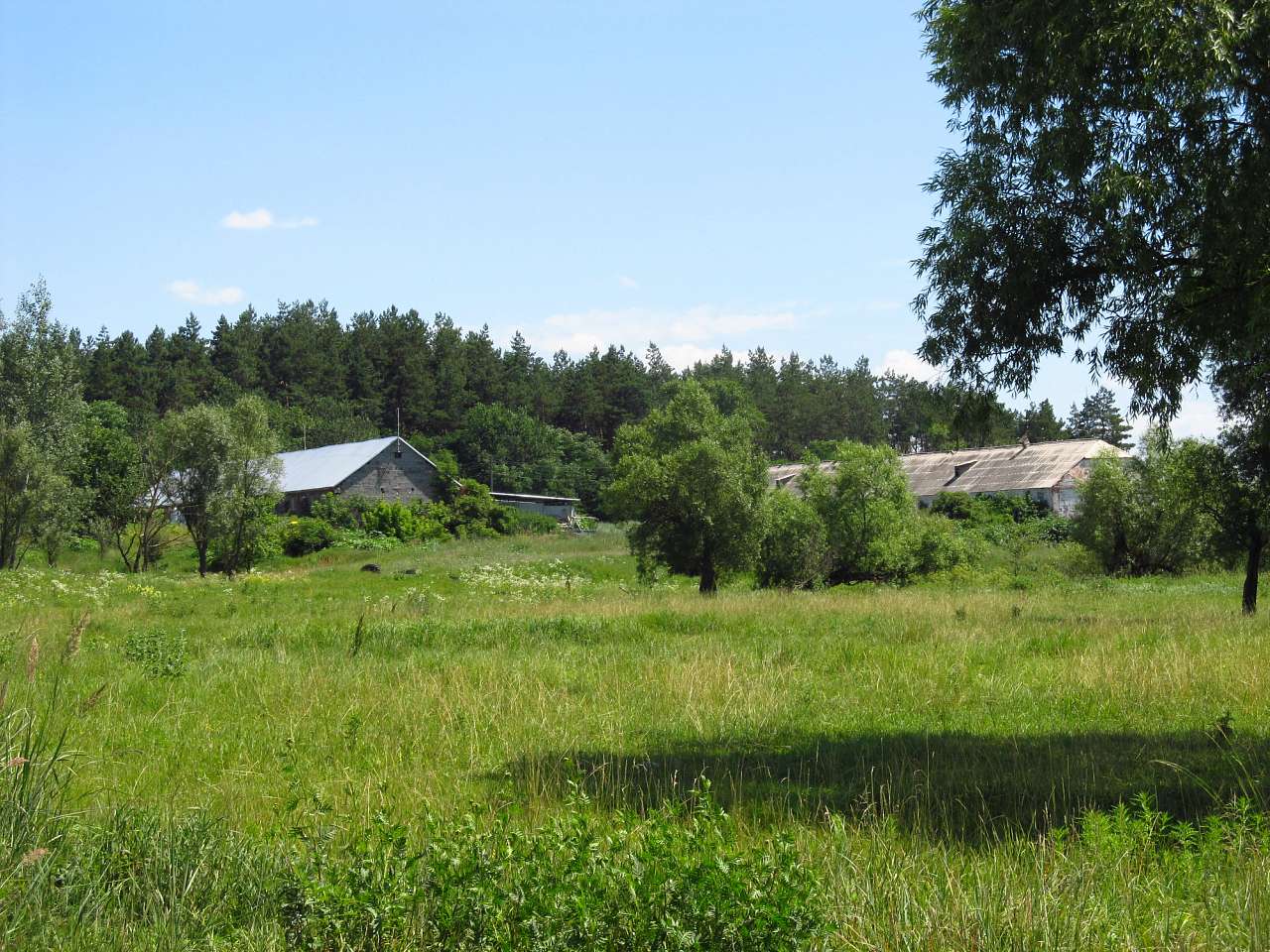 Річка Харків в Циркунах. - Циркуны