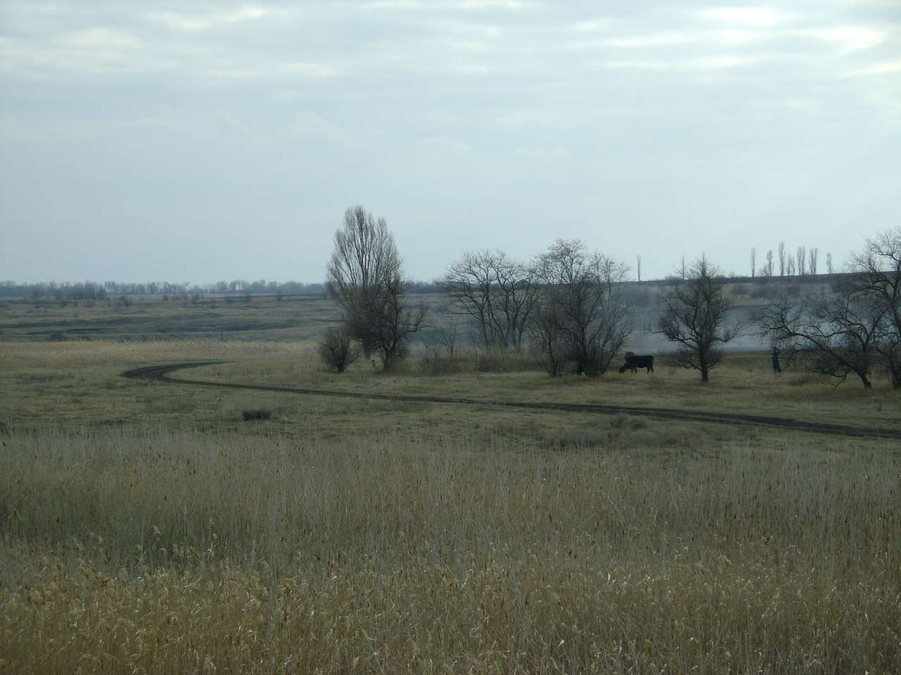 Барвиновка - Барвінівка