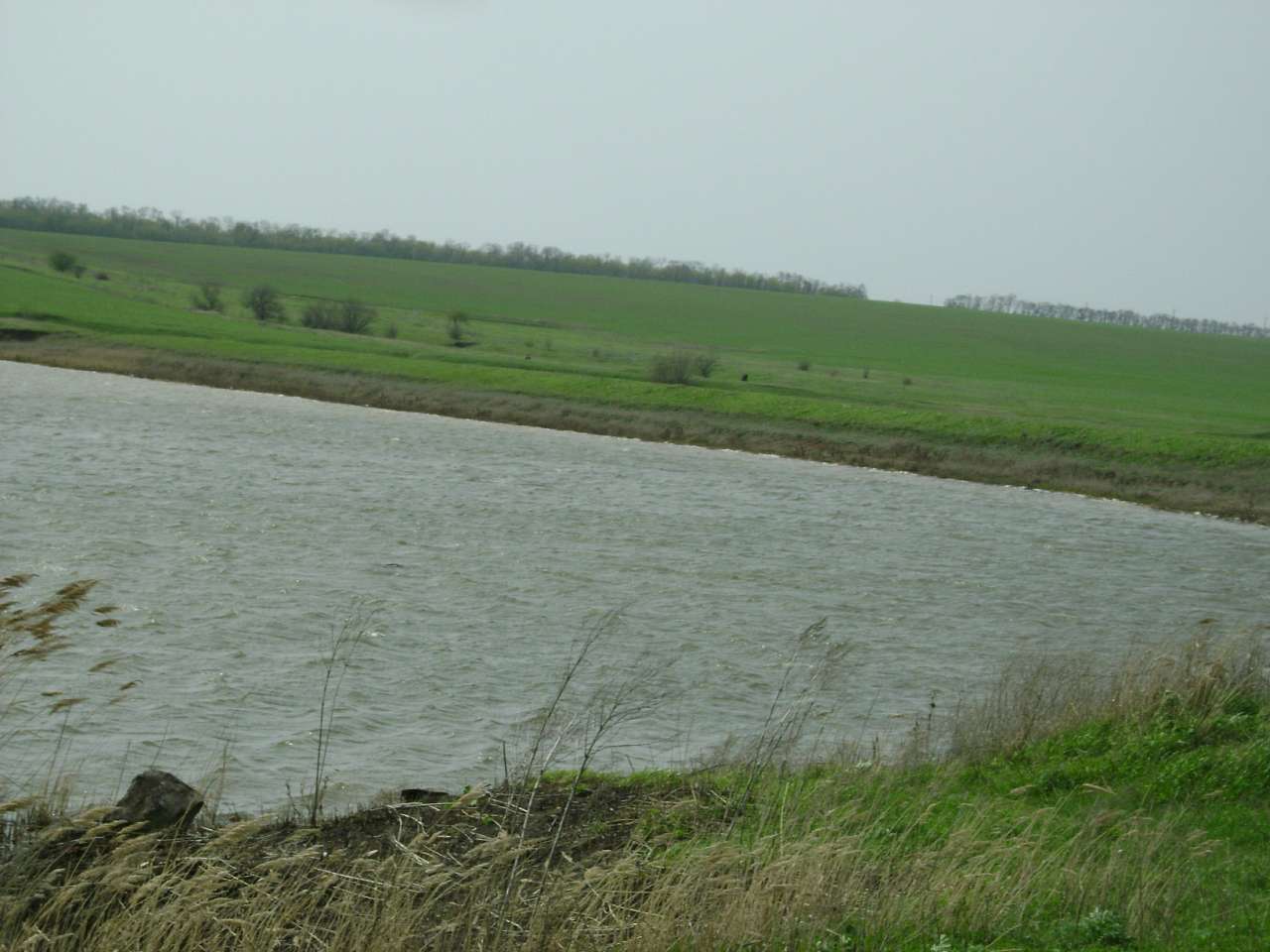 Барвиновка - Барвінівка