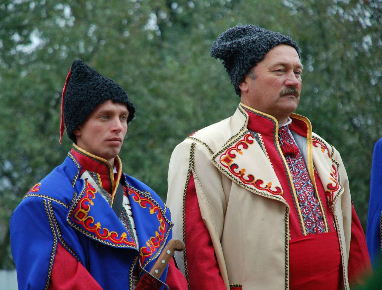 Нові кривотули.... - Нові Кривотули