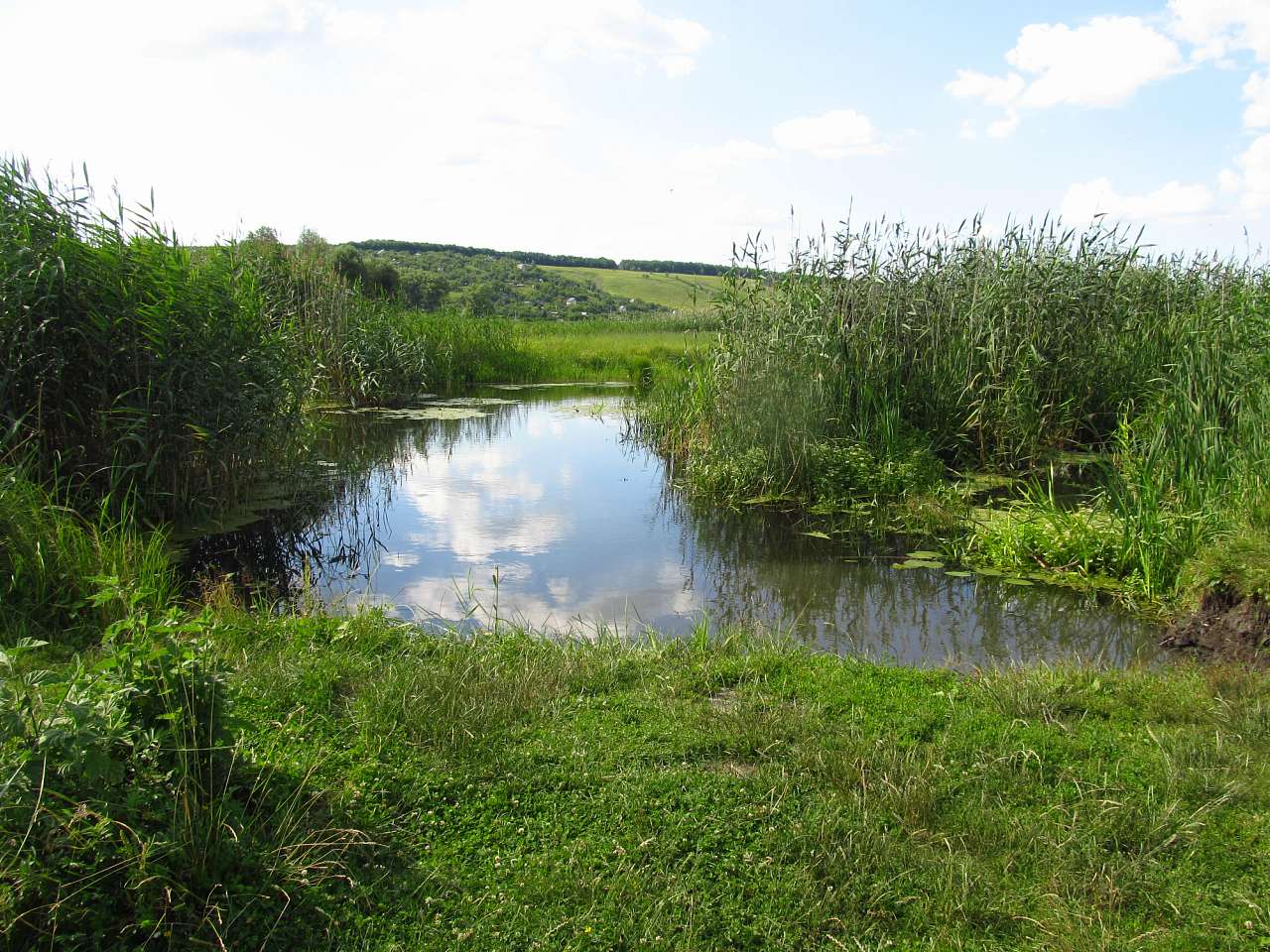 Річка Харків в Циркунах. - Циркуны