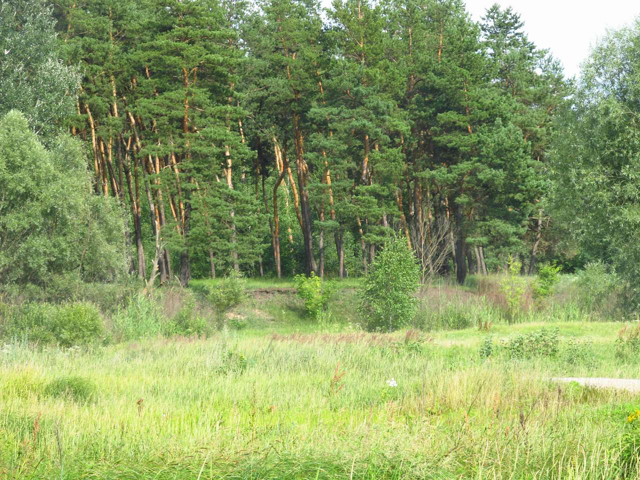 Річка Харків в Циркунах. - Циркуны