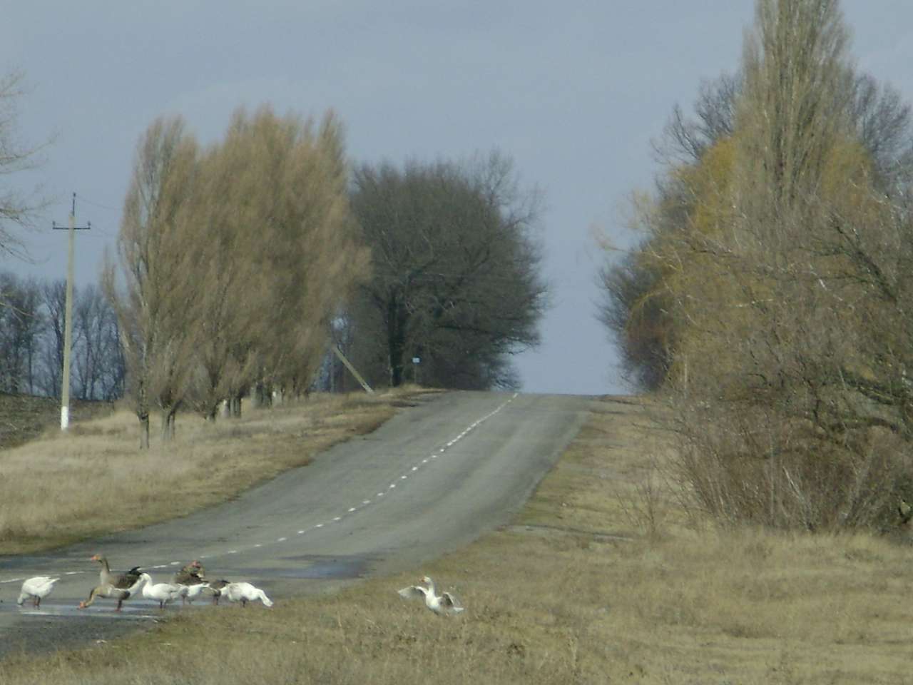 Барвиновка - Барвиновка