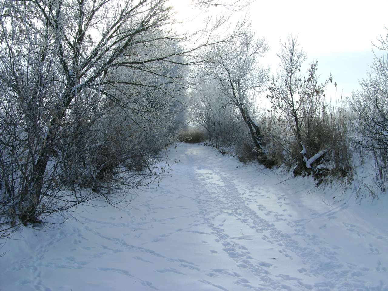 Барвиновка - Barvinivka