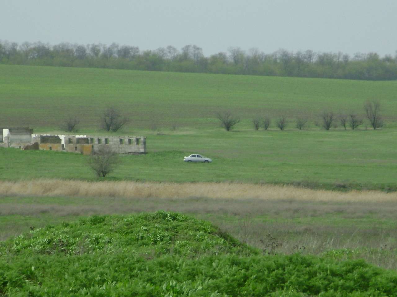 Барвиновка - Барвінівка