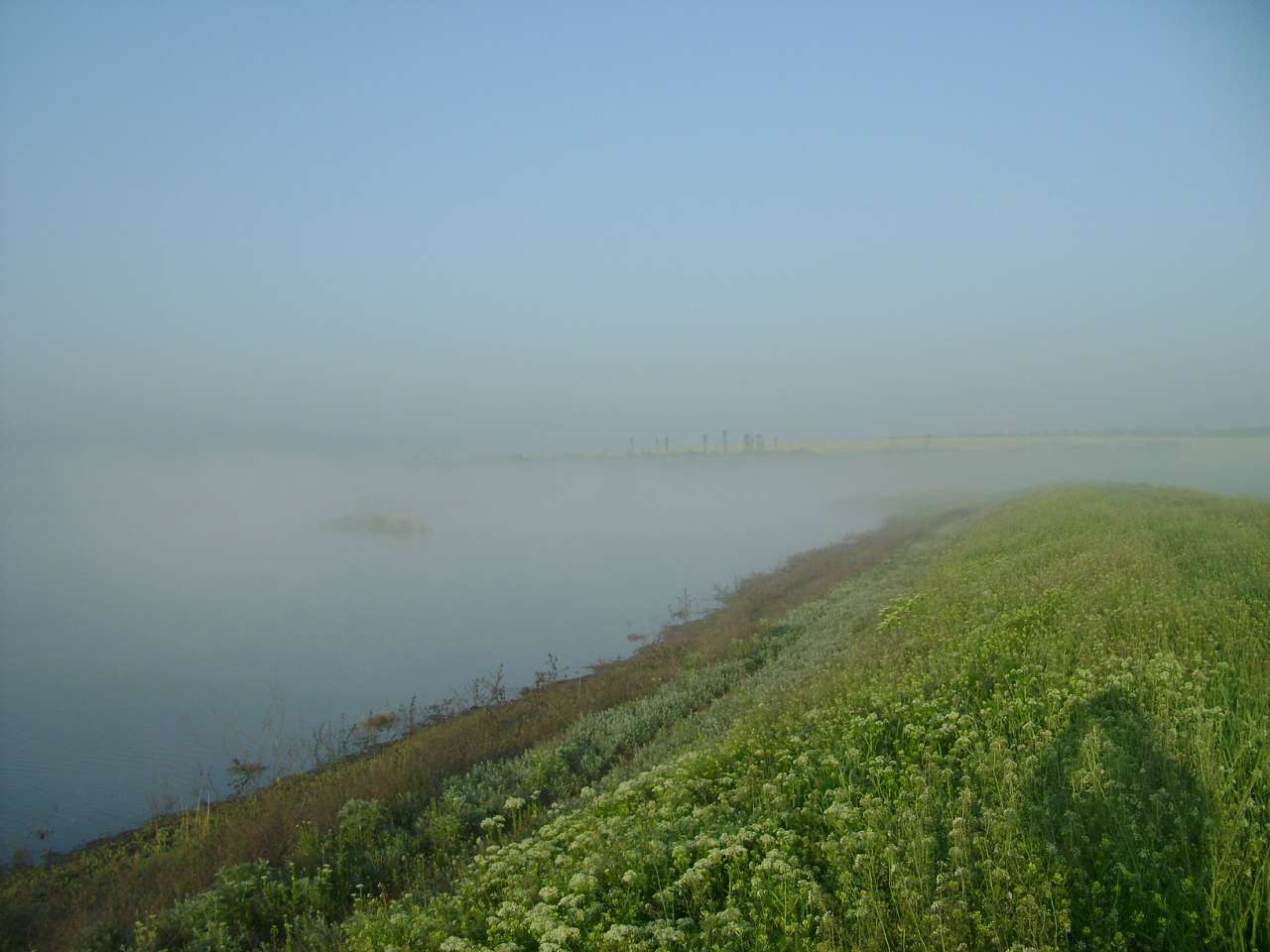 Барвиновка - Барвінівка