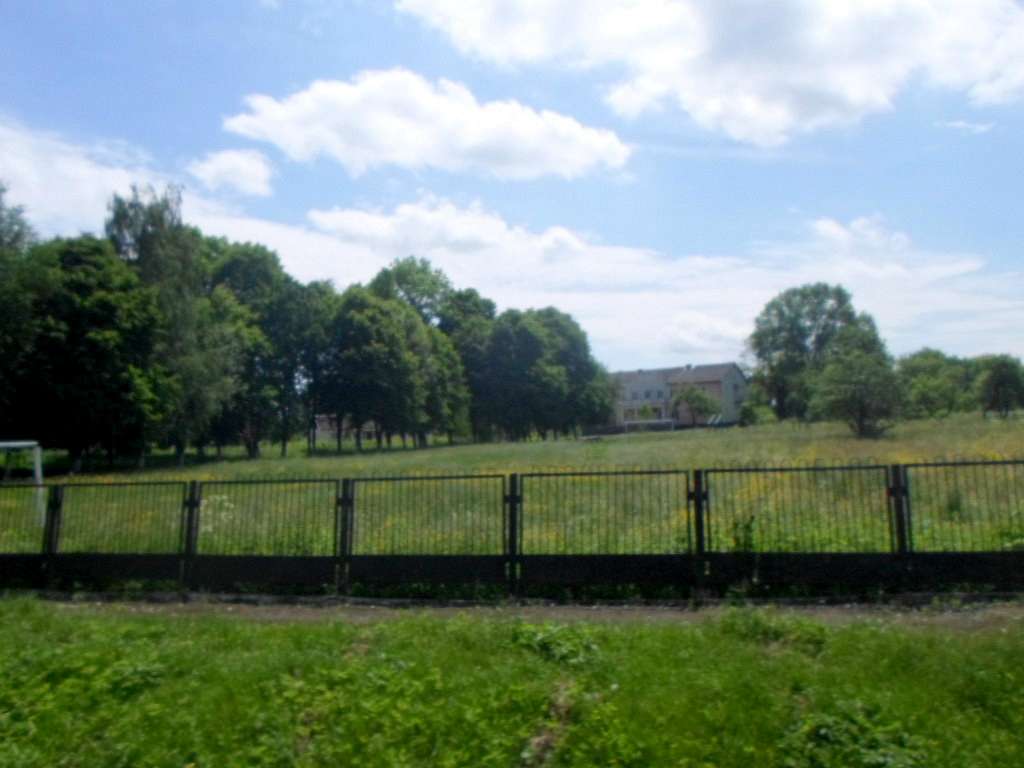 школа - Derzhiv