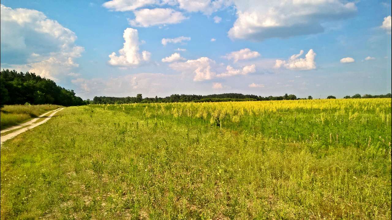 мій рідний край - Бондарівка