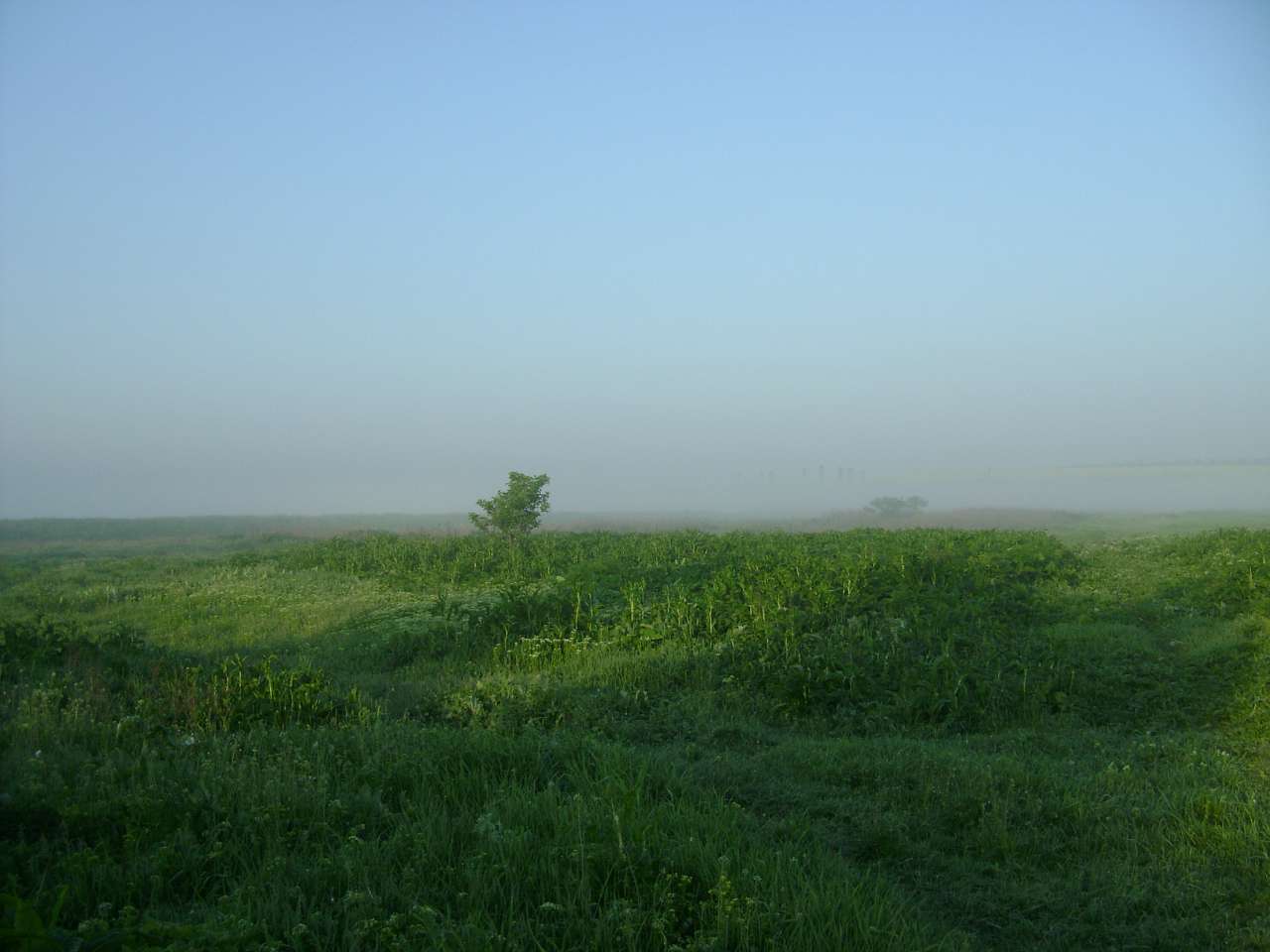 Барвиновка - Барвиновка