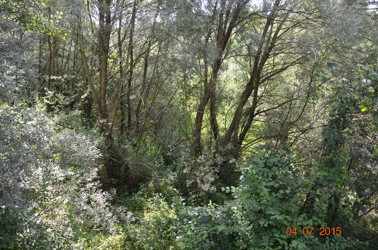 селище Вишково - Вишково