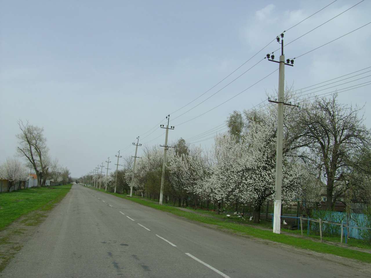 Барвиновка - Барвінівка