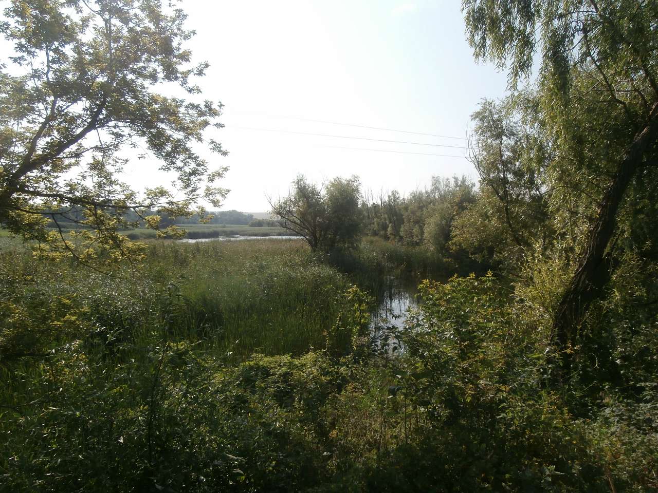 Ярославка - Ярославка