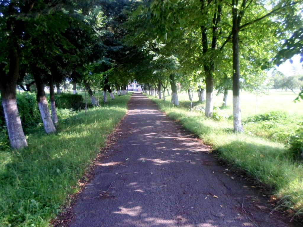 школа - Derzhiv