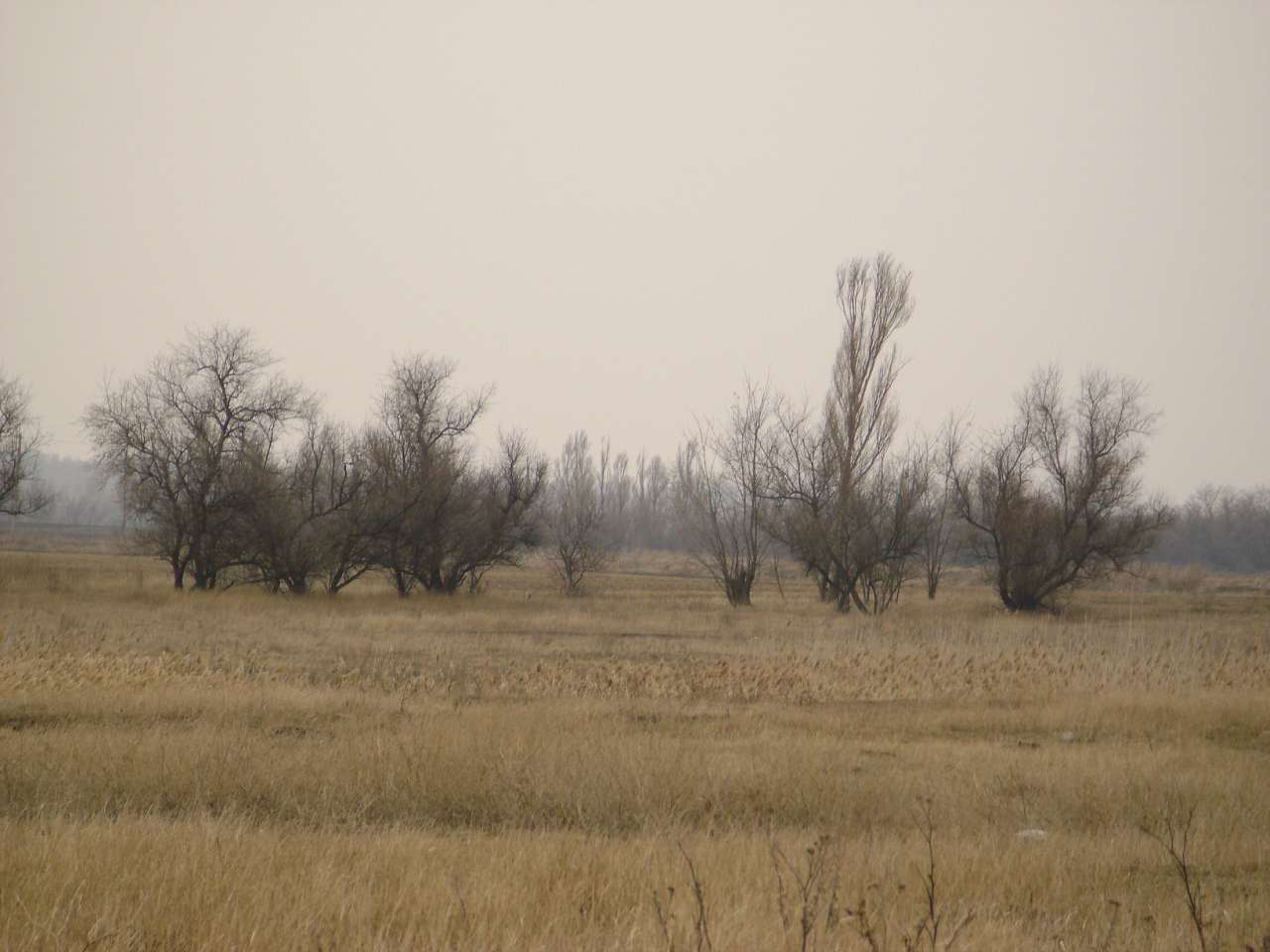 Барвиновка - Барвиновка