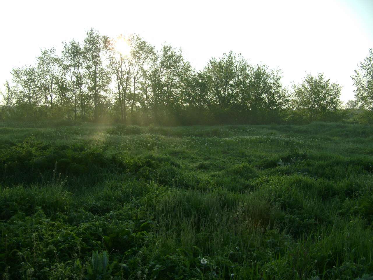 Барвиновка - Барвінівка