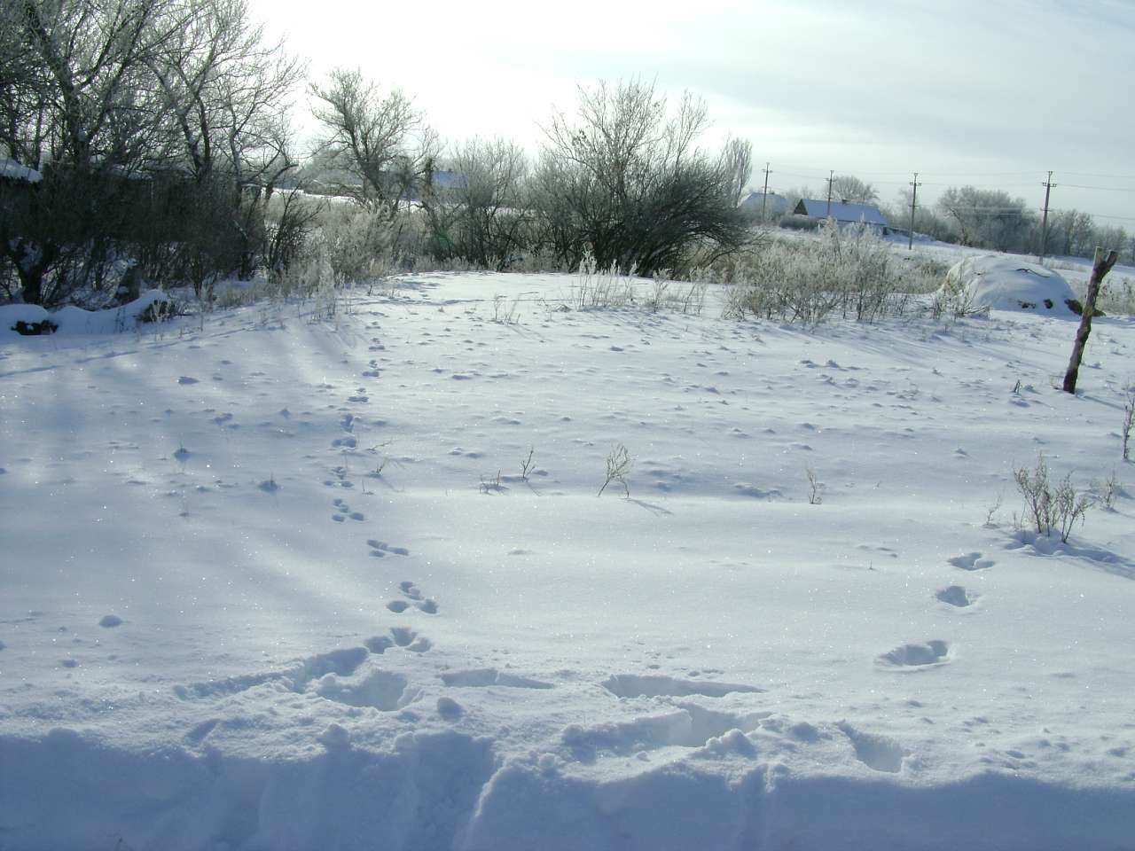 Барвиновка - Barvinivka