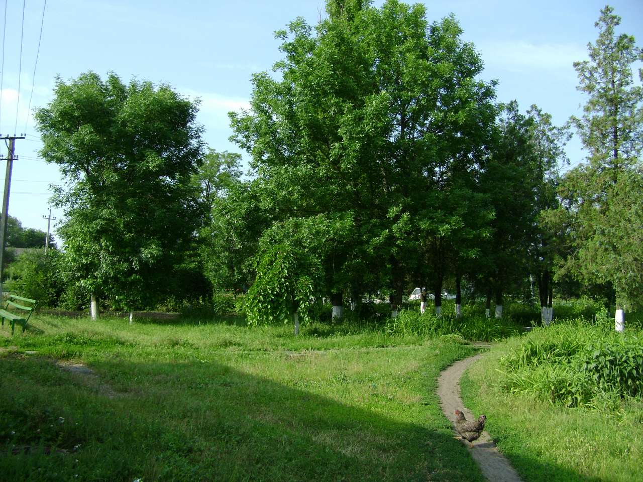 Барвиновка - Барвиновка