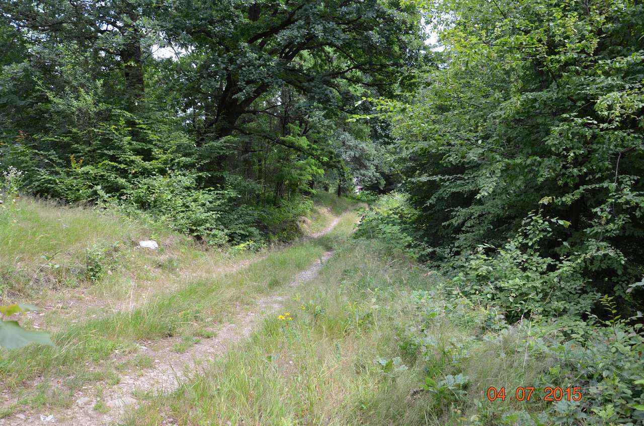 Мармарошська церковна архітектура - Данилово