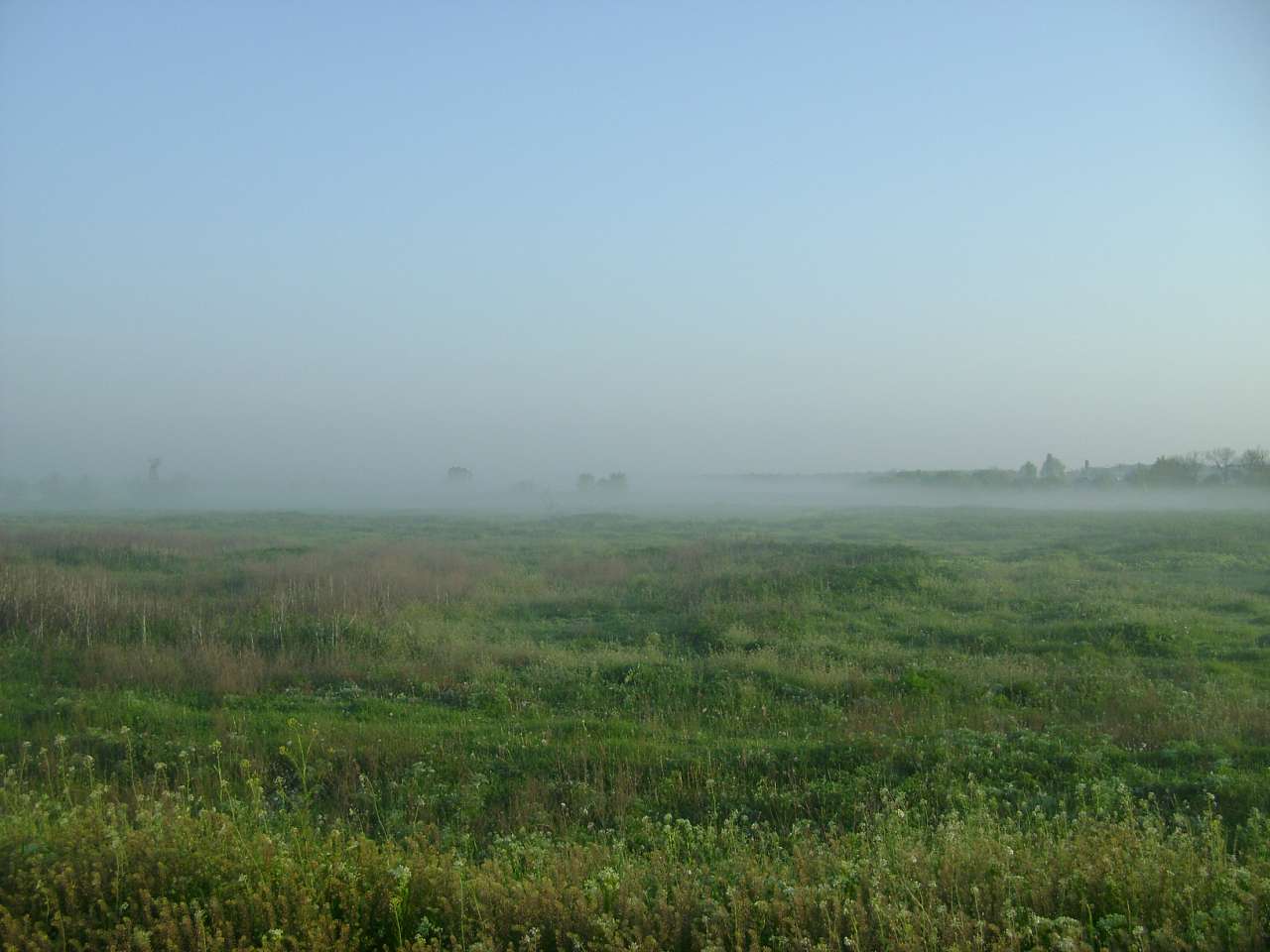 Барвиновка - Барвінівка