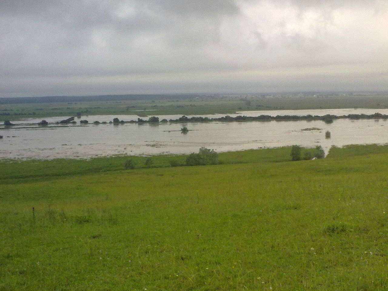 Нові кривотули.... - Нові Кривотули