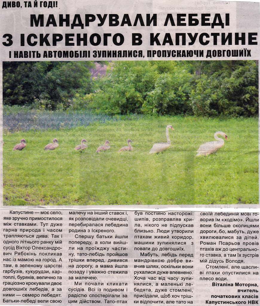 КАПУСТИНЕ - Капустине