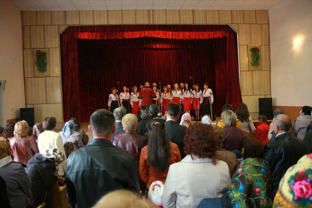 Нові кривотули.... - Нові Кривотули