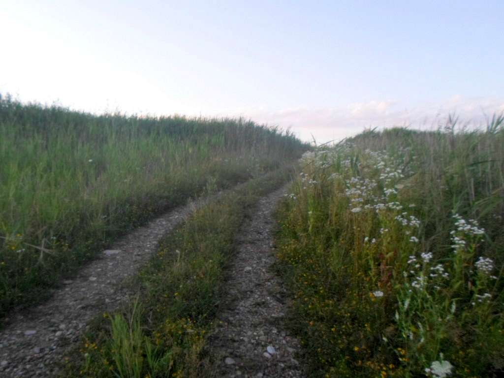 Краєвид - Подорожнє