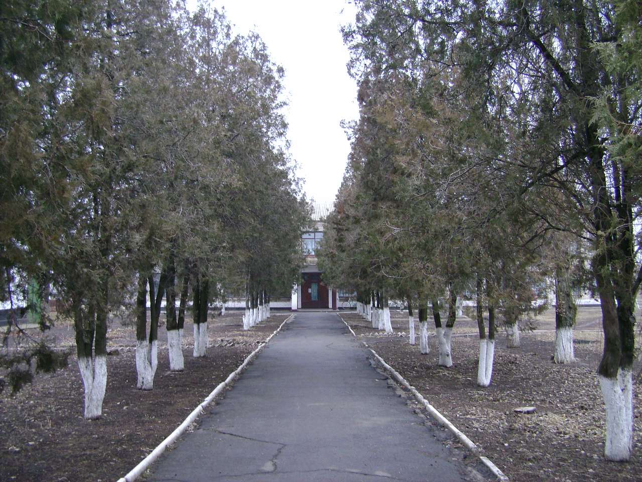 Барвиновка - Barvinivka