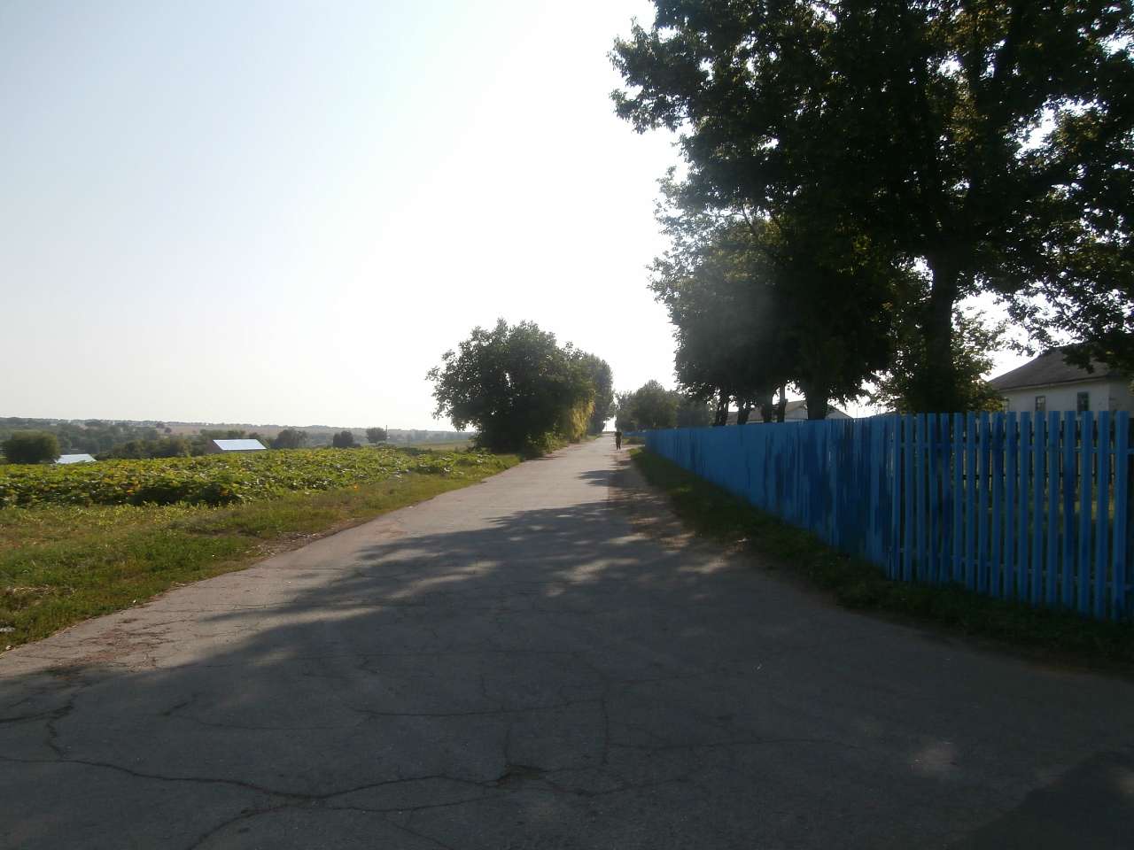 Ярославка - Ярославка