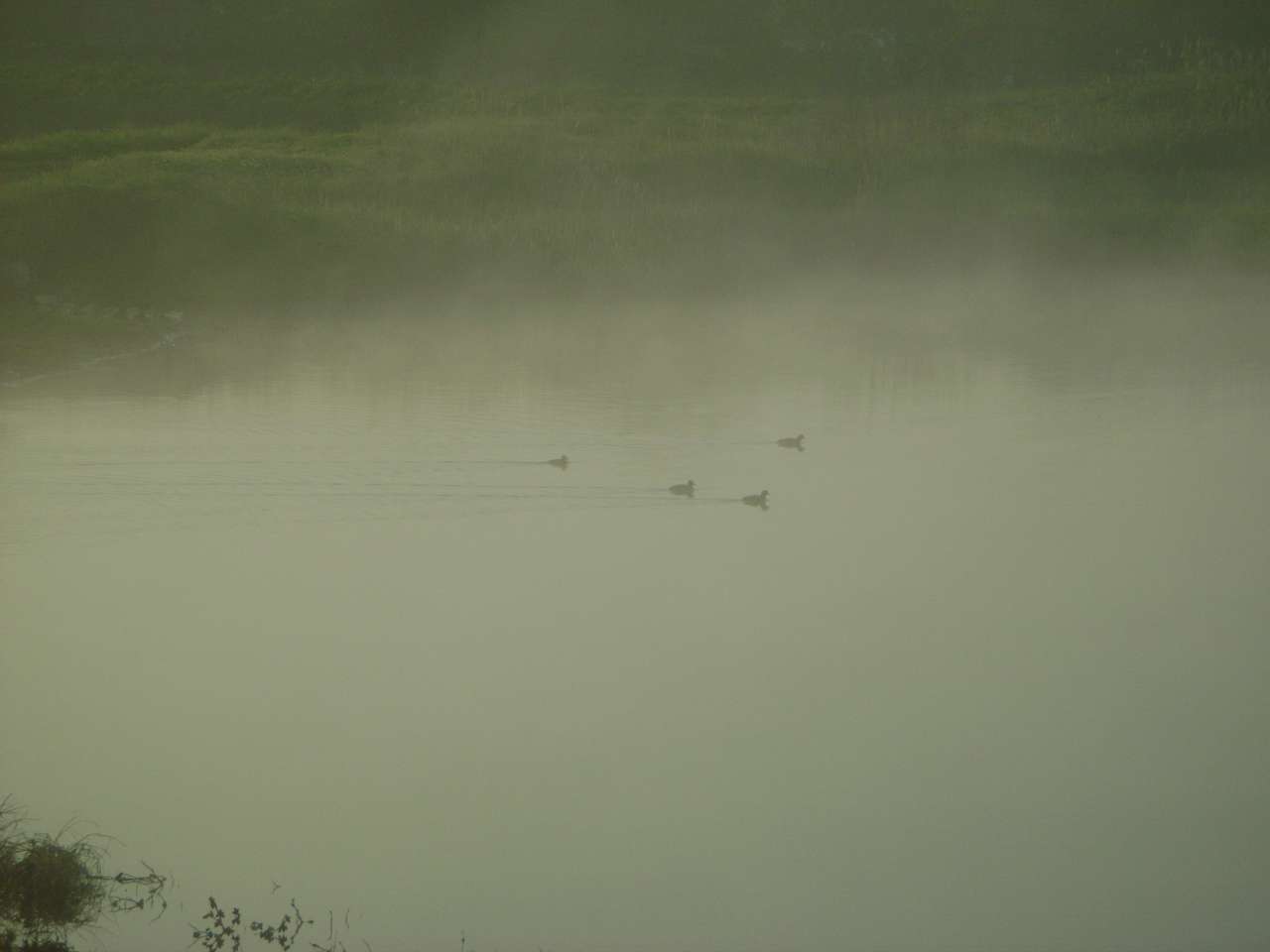 Барвиновка - Барвиновка