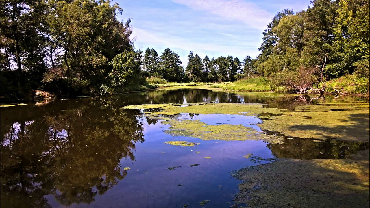 мій рідний край - Бондарівка