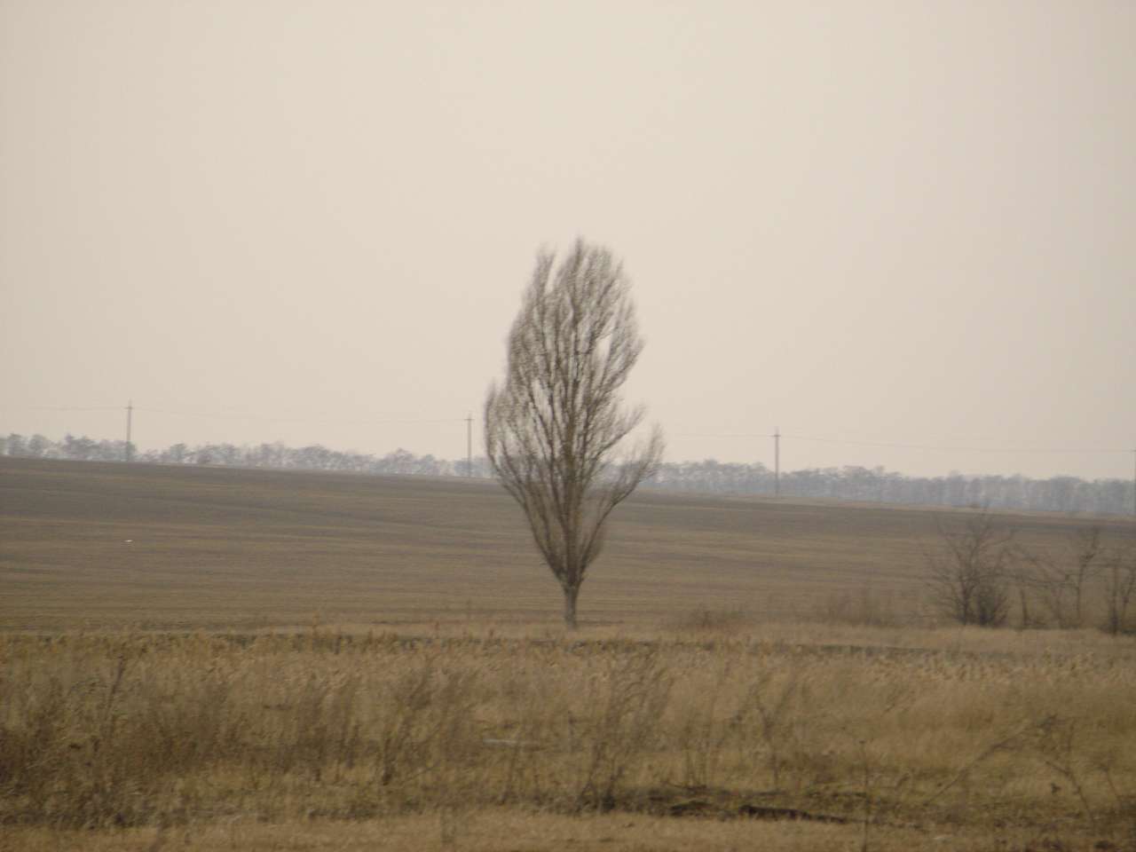 Барвиновка - Барвиновка