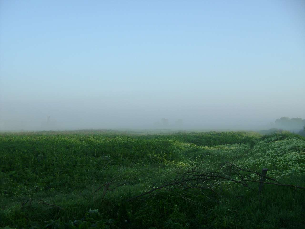 Барвиновка - Барвінівка