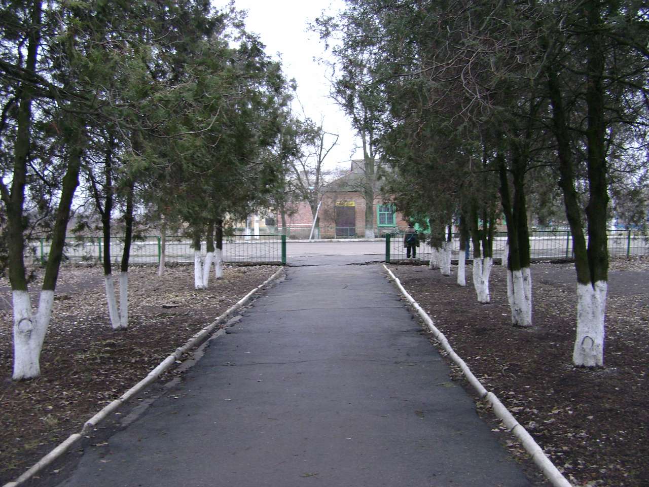 Барвиновка - Барвінівка