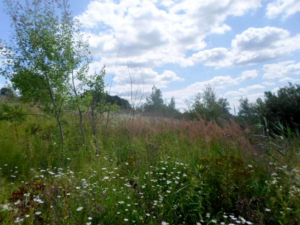 Краєвид - Подорожнє