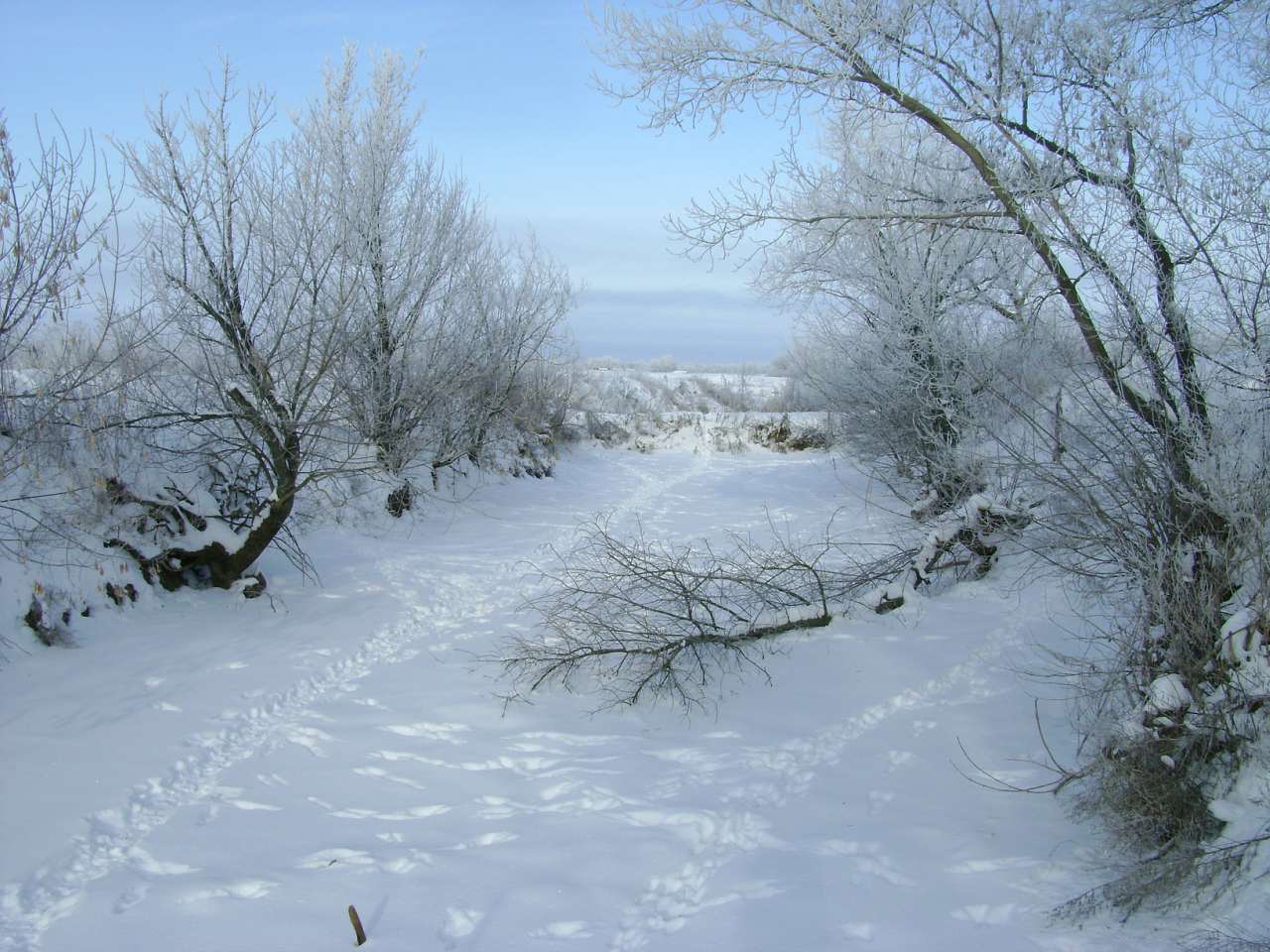 Барвиновка - Барвиновка