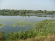 Кушугум з panoramio.com