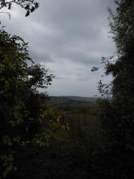 Велика Діброва з panoramio.com