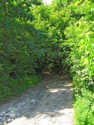 Сморжів з panoramio.com