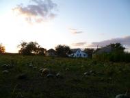 Бакумівка з panoramio.com