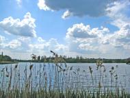 Кринички - Останні фото