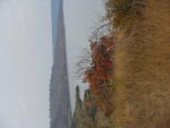 Алтестове з panoramio.com