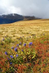 Комсомольськ з panoramio.com